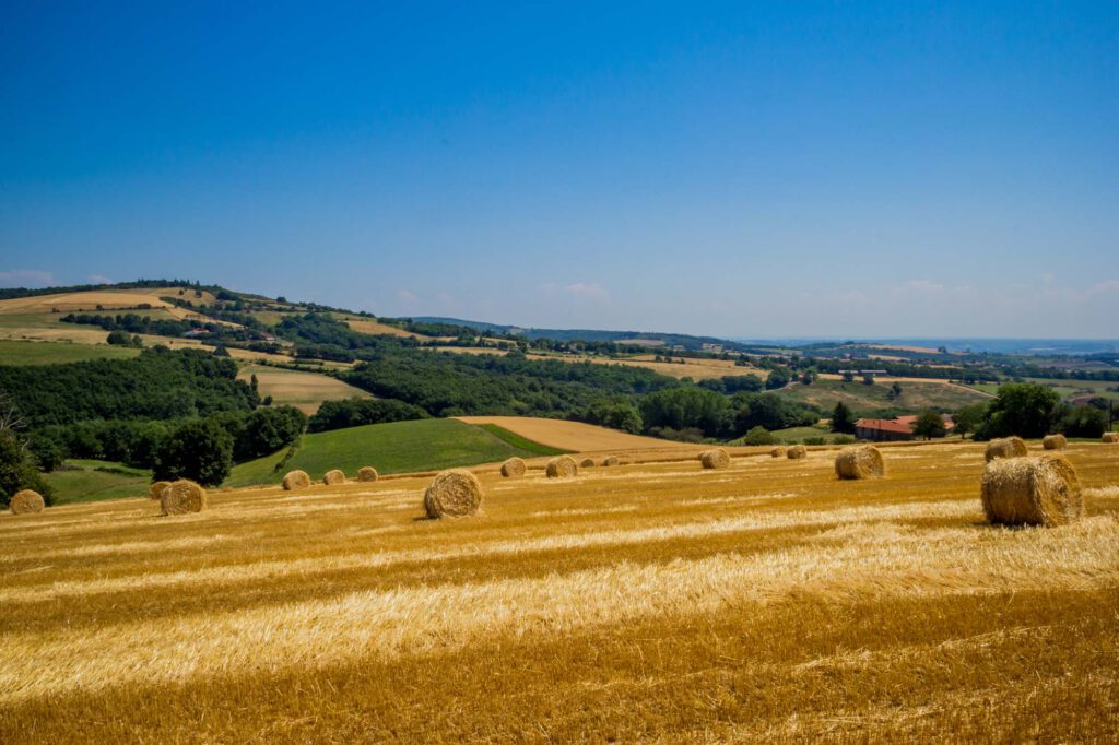 fasba_wir_bauen_mit_stroh_feld